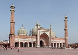 visit in delhi