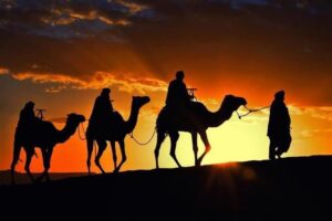 Sam Sand Dunes Jaisalmer