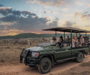 Serengeti National Park Safari – Nature and Wildlife Travel Destination