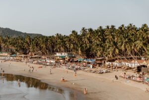 Palolem Beach huts and palm trees in South Goa