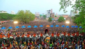 Elephants decorated during Thrissur Pooram festival in Kerala