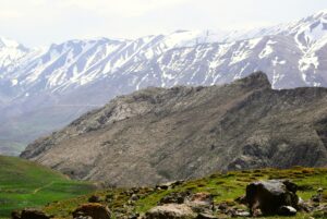 alireza kazemi 8uixyki9emo unsplash