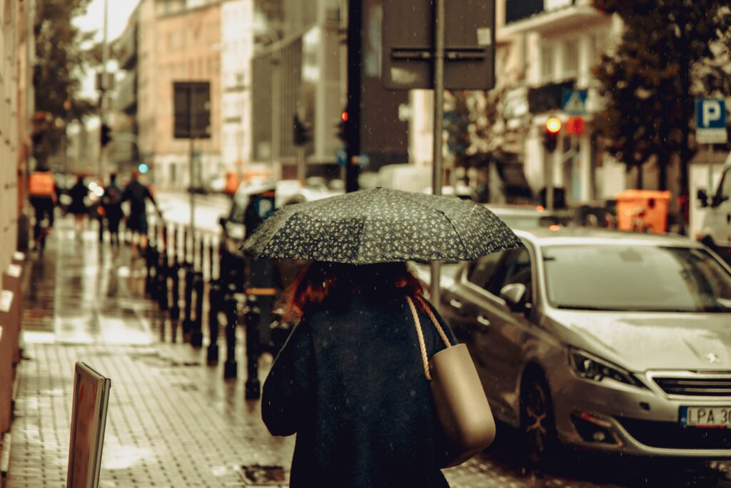 ammy singh 0kdur lfsns unsplash