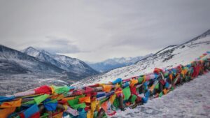 liyan su 7s5vkj18qf8 unsplash
