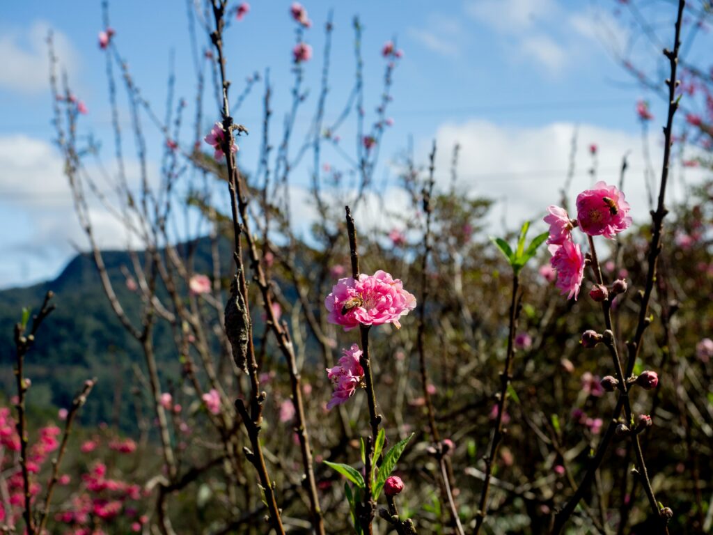 yanteng huang nikspxuwc04 unsplash